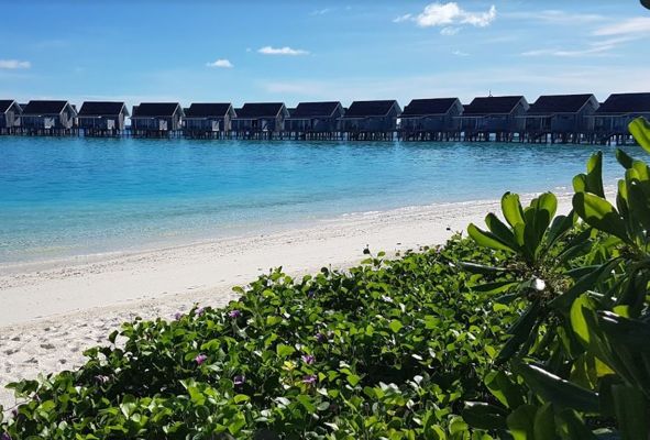 Vé máy bay đi Maldives bao nhiêu tiền?