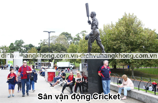 san-van-dong-cricket